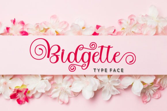 Bidgette Typeface Review: Elevating Digital Brand Identity